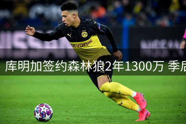 库明加签约森林狼2年1300万 季后赛三分表现欠佳