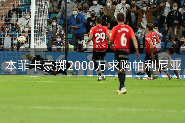 本菲卡豪掷2000万求购帕利尼亚 面临纽卡激烈竞争