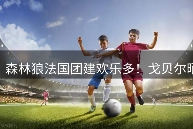 森林狼法国团建欢乐多！戈贝尔晒铁塔夜景遭华子调侃：这是迪士尼？