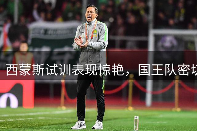 西蒙斯试训表现惊艳，国王队密切关注其动态